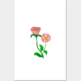 Summer Flowers Posters and Art